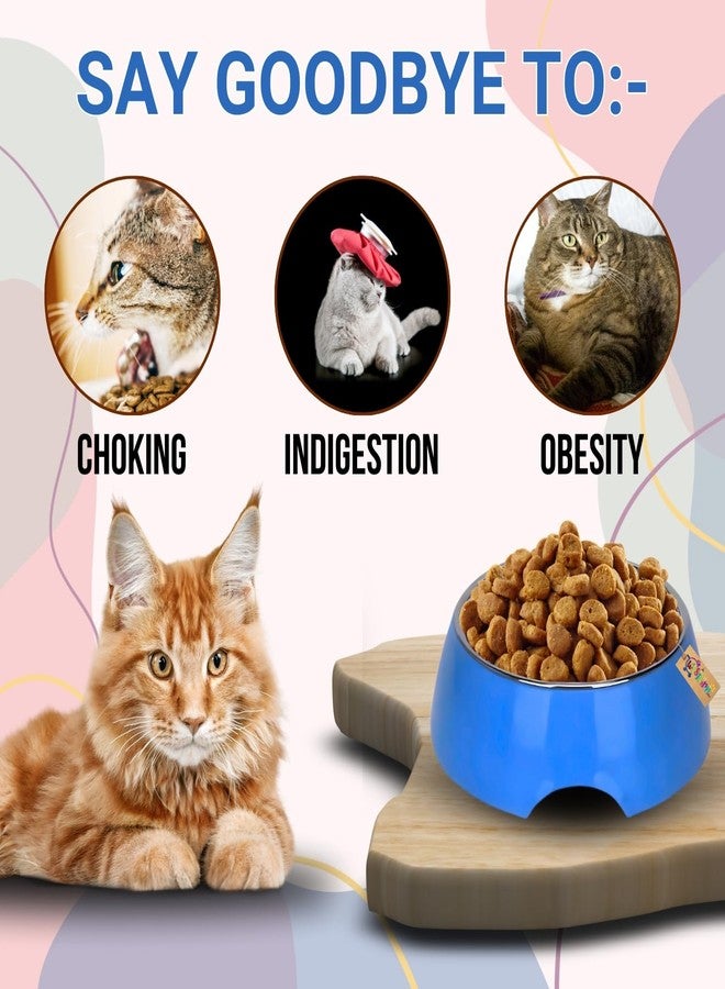 Western Era Pet Steel & Plastic Bowl - Interactive Pet Feeder, Promotes Healthy Eating, Mental Stimulation, Design for Healthy Eating, Fun Design for Cats and Dogs, Ideal for All Pet Sizes - Image 4